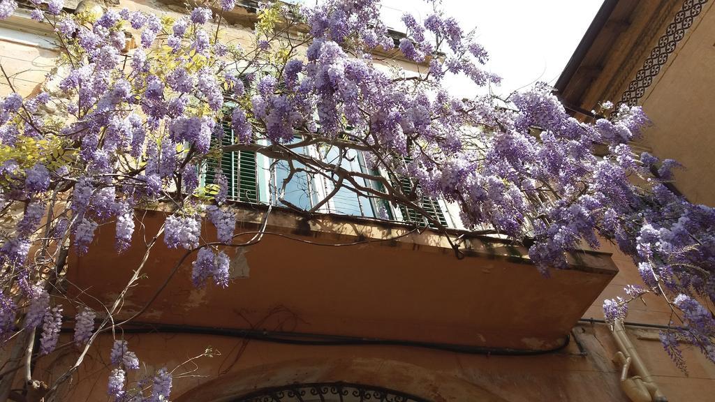 Casa Mimi Apartment Santa Flavia Bagian luar foto